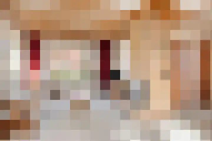Fabiusstraat 5 Heino thumbnail 6