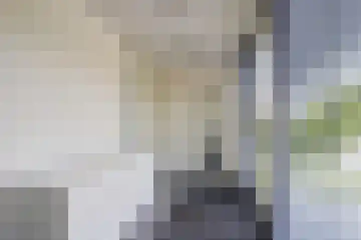 Fabriciuslaan 60 Drachten thumbnail 4