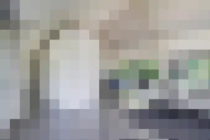 Fabriciuslaan 60 Drachten thumbnail 7