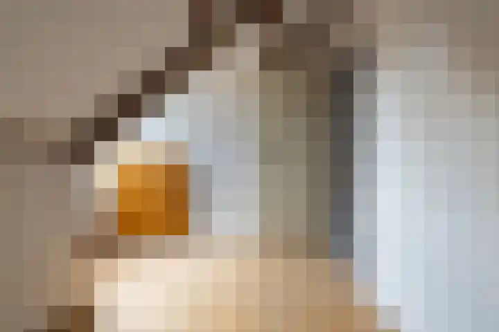Fabriciusstraat 16 Almkerk thumbnail 16