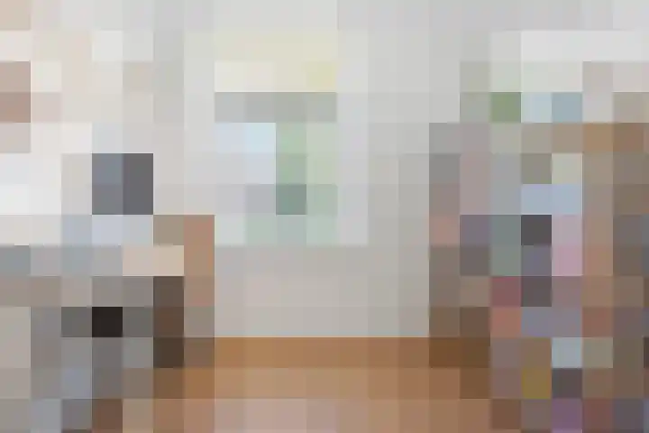 Fabriciusstraat 6 Haarlem thumbnail 27