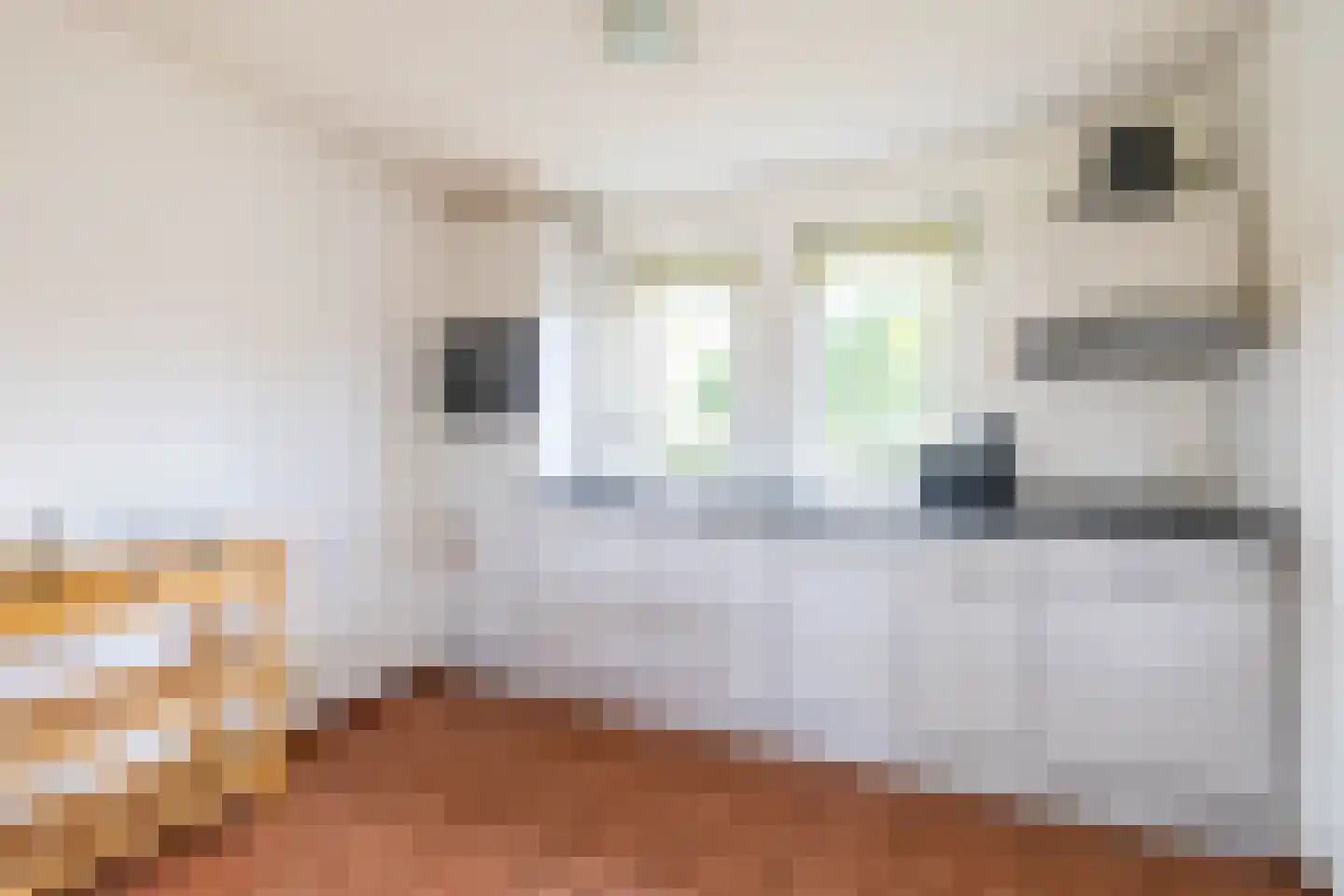 Fabriciusstraat 6 Haarlem thumbnail 33