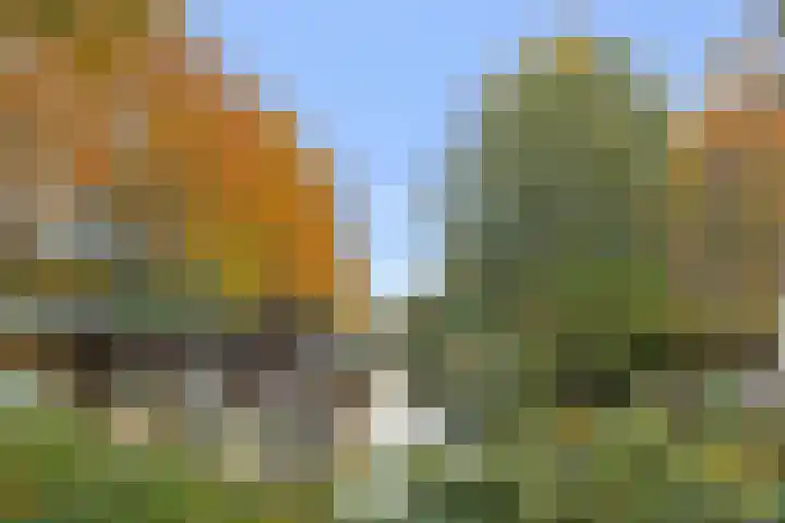 Fabriciusstraat 6 Haarlem thumbnail 6