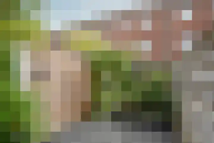 Fabriekslaan 9 Uden thumbnail 11