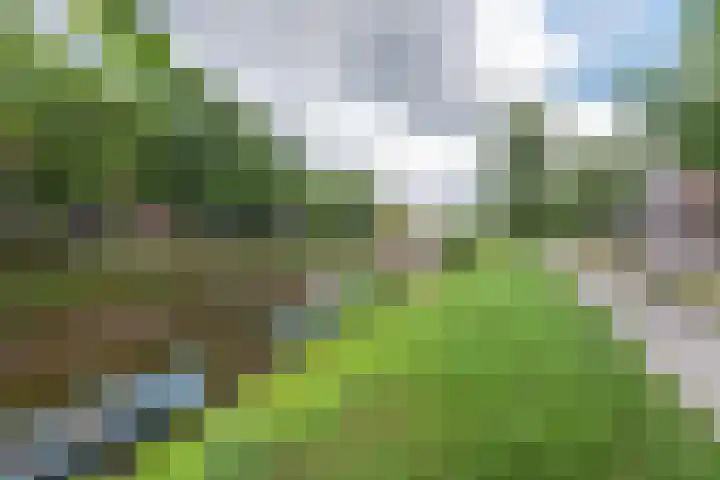 Fabriekslaan 9 Uden foto 2