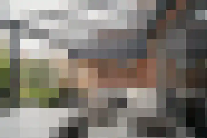 Fabriekslaan 9 Uden thumbnail 9