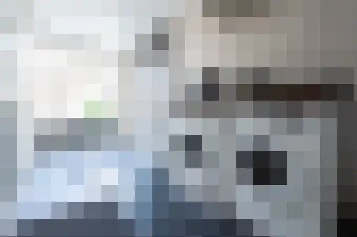 Fabrieksstraat 33 Halsteren thumbnail 17