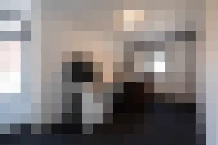 Fabrieksstraat 33 Halsteren thumbnail 31