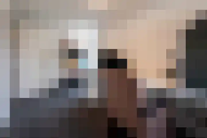 Fabrieksstraat 33 Halsteren thumbnail 32