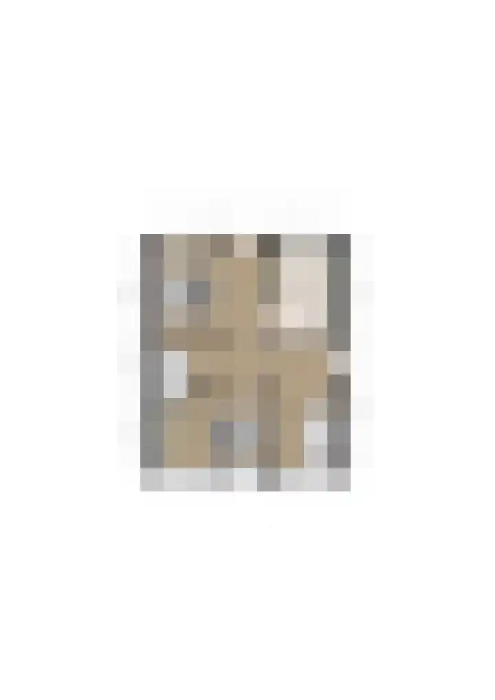 Fabrieksstraat 33 Halsteren thumbnail 39