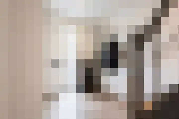Fabrieksstraat 33 Halsteren thumbnail 6