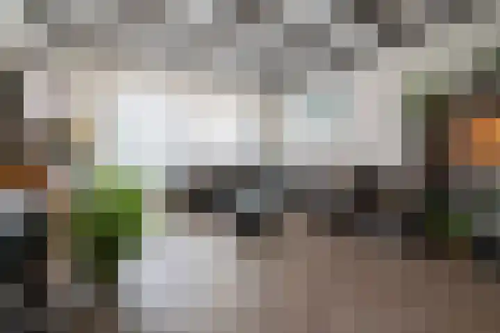 Fabrieksstraat 33 Halsteren thumbnail 8