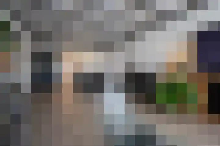 Fabrieksstraat 33 Halsteren thumbnail 9