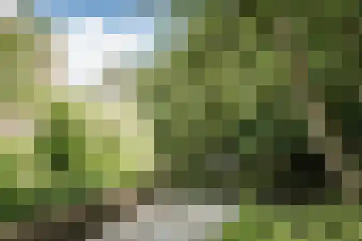 Fabrieksstraat 5 Norg thumbnail 17