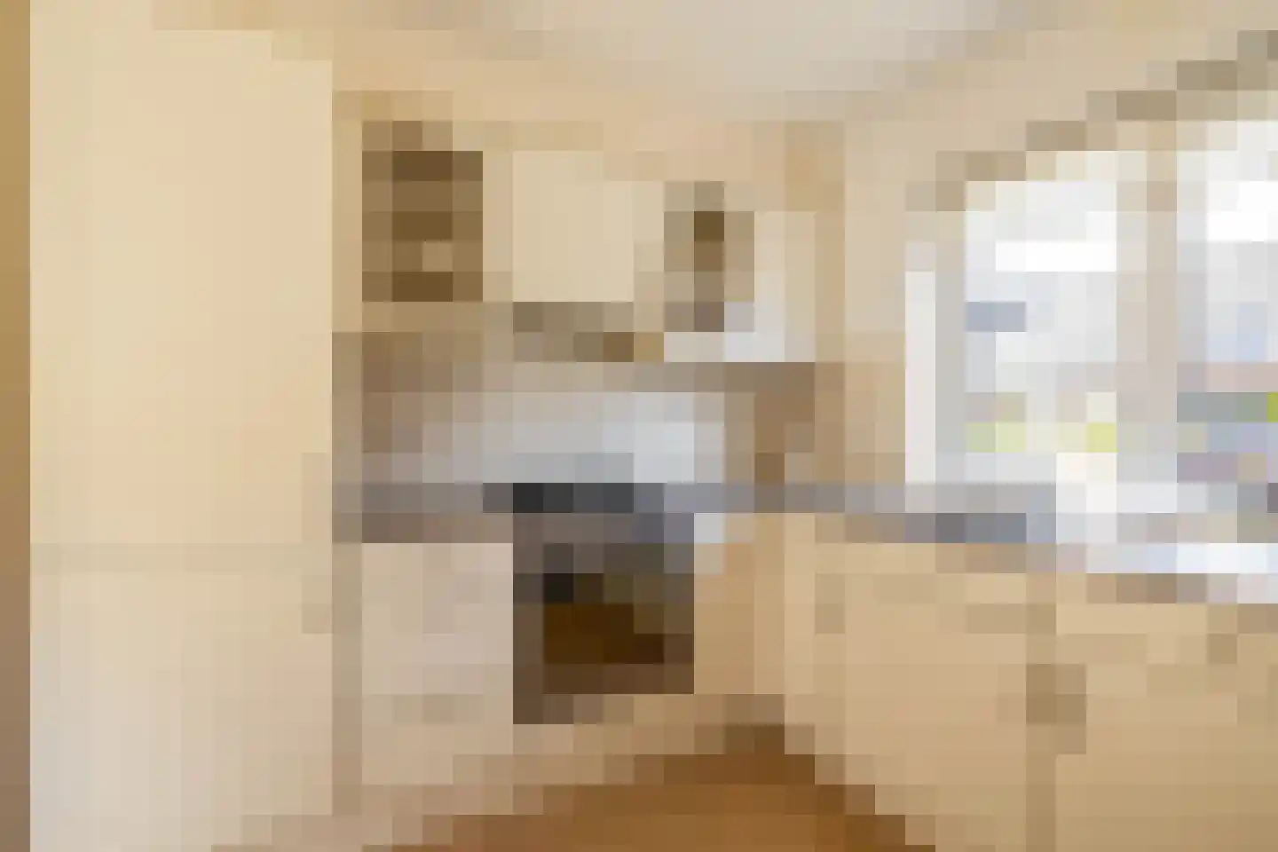 Fabrieksstraat 5 Norg thumbnail 17