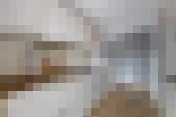 Fabrieksstraat 5 Norg thumbnail 20