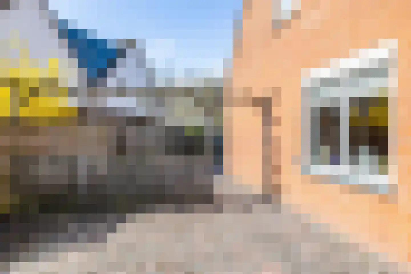 Fabrieksstraat 5 Norg thumbnail 36