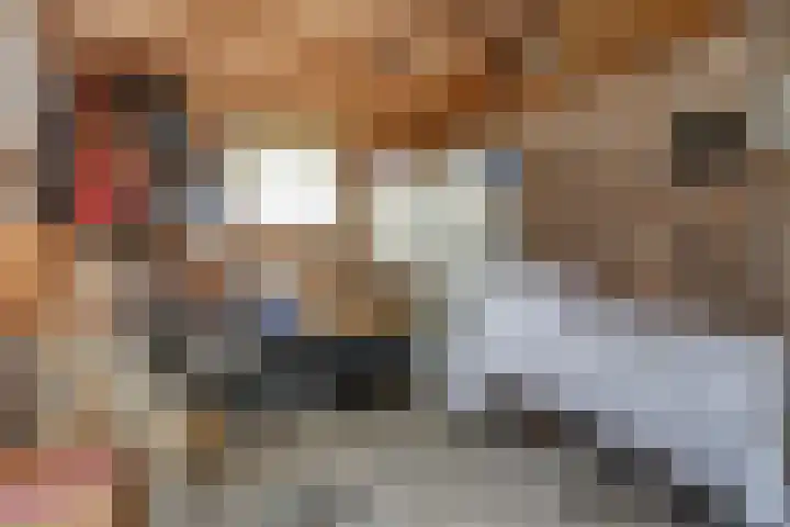 Fabrieksstraat 75 Warmenhuizen thumbnail 26