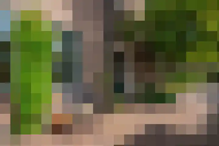 Fabrieksstraatje 1 Eext thumbnail 11