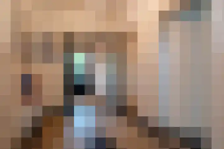 Fabrieksstraatje 1 Eext thumbnail 13