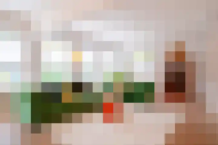 Fabrieksstraatje 1 Eext thumbnail 19
