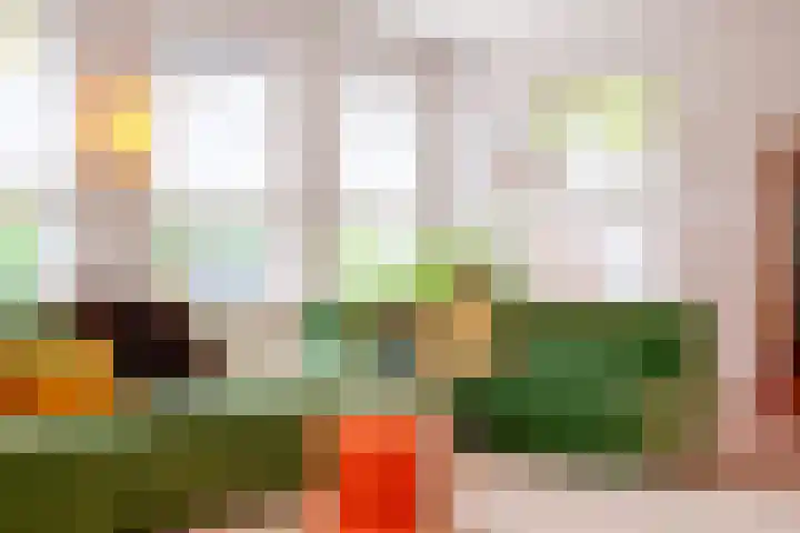 Fabrieksstraatje 1 Eext thumbnail 20
