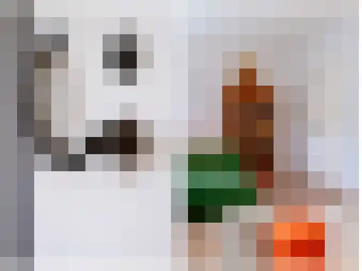 Fabrieksstraatje 1 Eext thumbnail 21