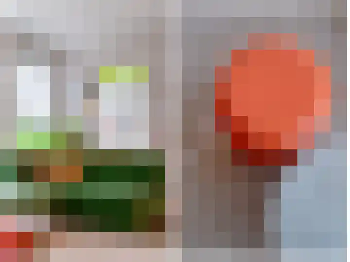 Fabrieksstraatje 1 Eext thumbnail 22