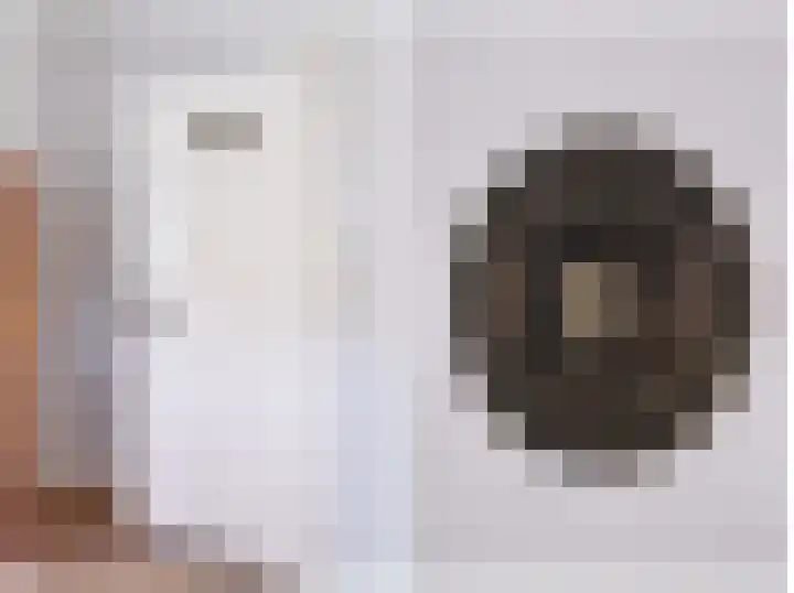 Fabrieksstraatje 1 Eext thumbnail 23