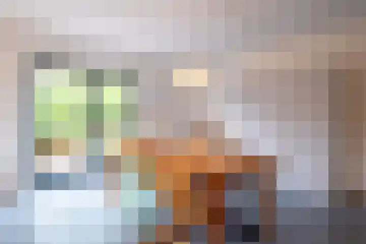 Fabrieksstraatje 1 Eext thumbnail 43