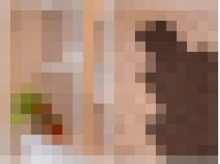 Fabrieksstraatje 1 Eext thumbnail 46
