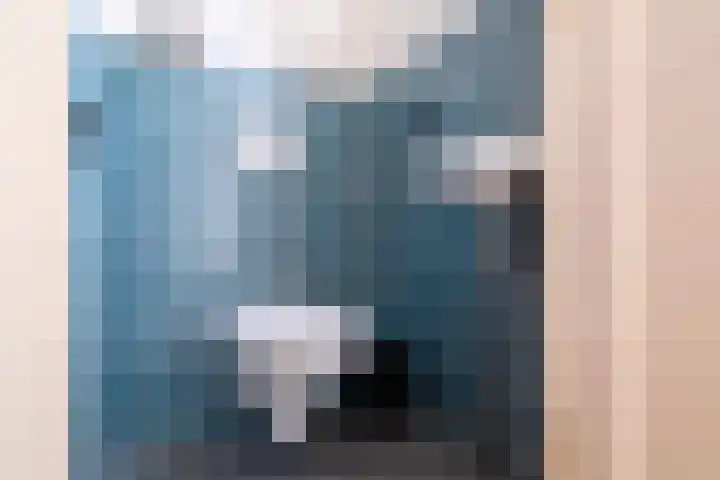 Fabrieksstraatje 1 Eext thumbnail 48