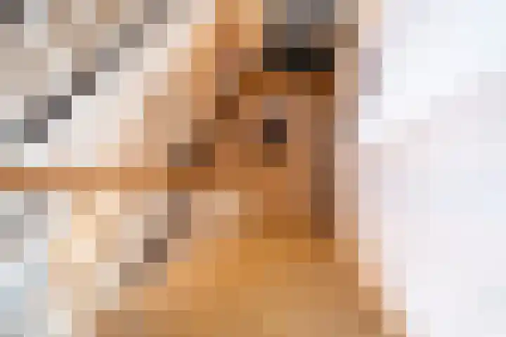 Fabrieksstraatje 1 Eext thumbnail 49