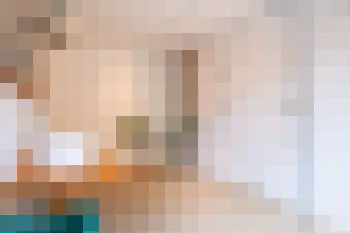 Fabrieksstraatje 1 Eext thumbnail 5