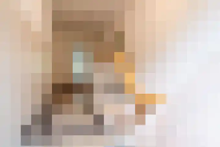 Fabrieksstraatje 1 Eext thumbnail 52