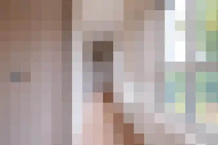 Fabrieksstraatje 1 Eext thumbnail 56