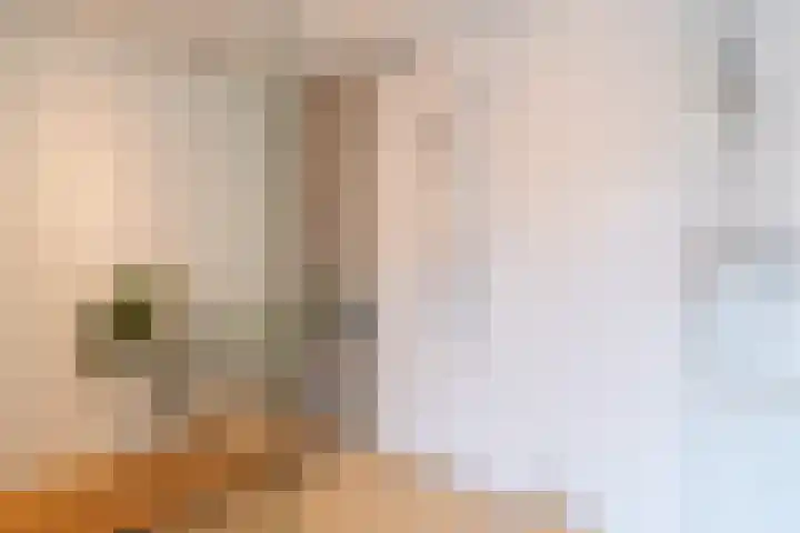 Fabrieksstraatje 1 Eext thumbnail 61
