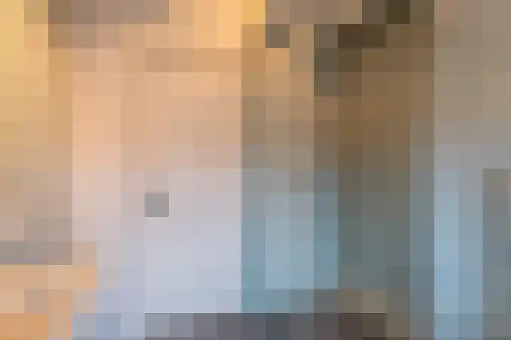 Fabrieksstraatje 1 Eext thumbnail 74