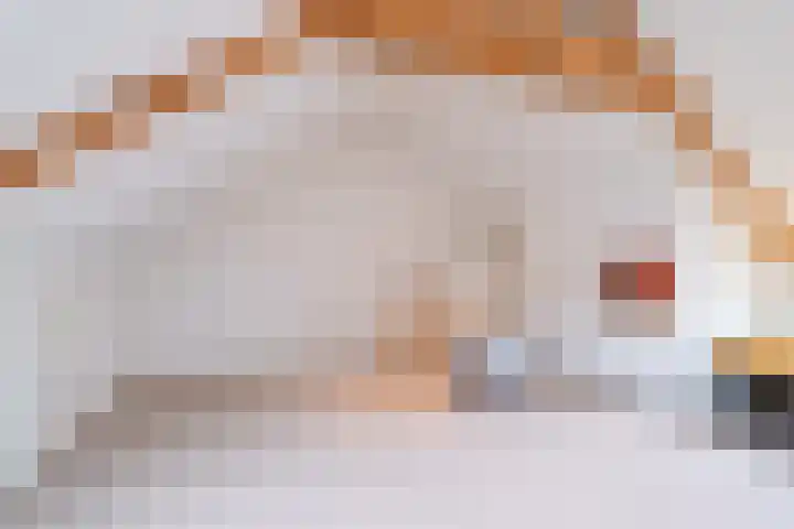 Fabrieksstraatje 1 Eext thumbnail 78