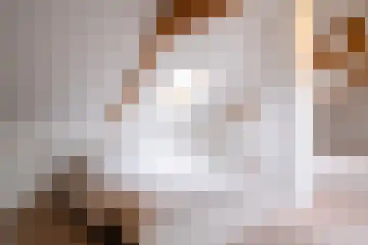 Fabrieksstraatje 1 Eext thumbnail 81