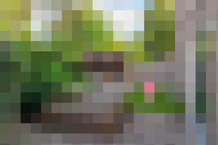 Fabrieksstraatje 1 Eext thumbnail 83