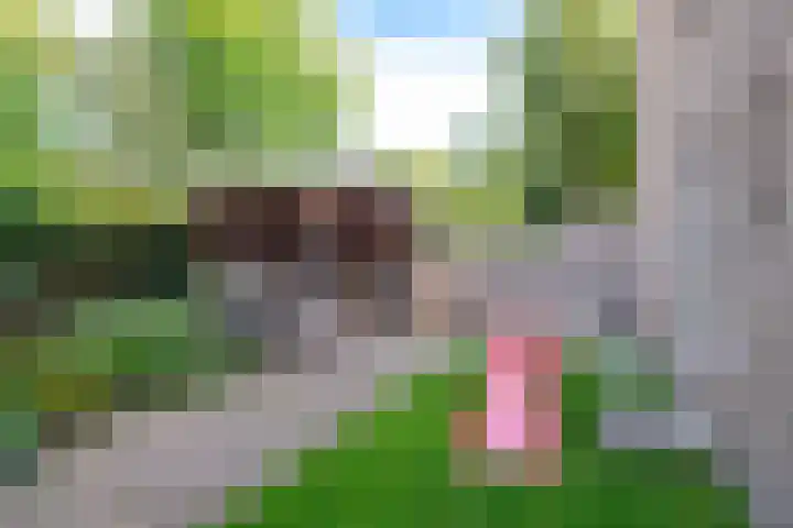 Fabrieksstraatje 1 Eext thumbnail 84