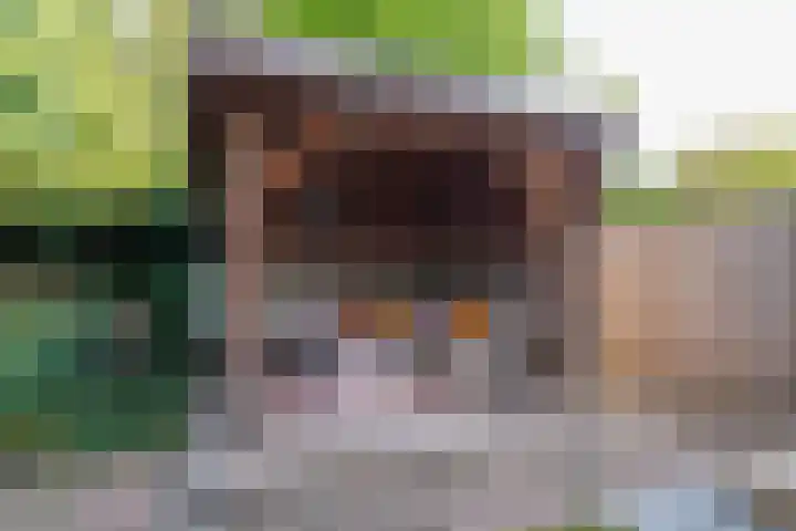 Fabrieksstraatje 1 Eext thumbnail 85
