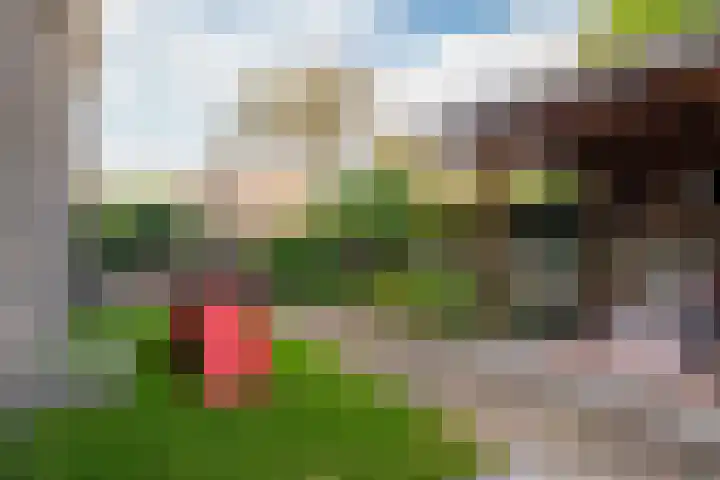 Fabrieksstraatje 1 Eext thumbnail 86