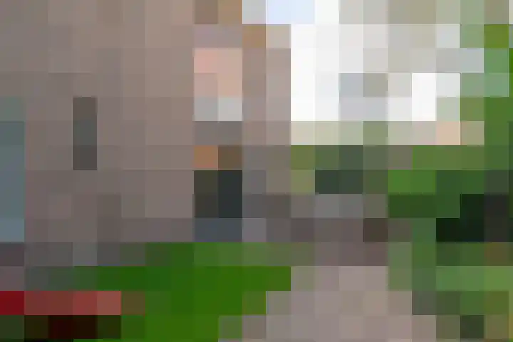 Fabrieksstraatje 1 Eext thumbnail 87