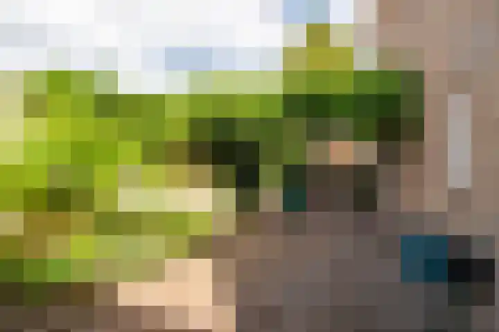 Fabrieksstraatje 1 Eext thumbnail 89