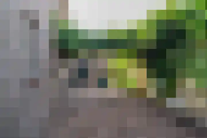 Fabrieksstraatje 1 Eext thumbnail 90