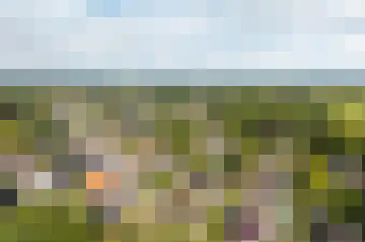 Fabrieksstraatje 1 Eext thumbnail 92