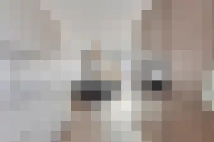 Fabriekstraat 14 g Deurne thumbnail 10