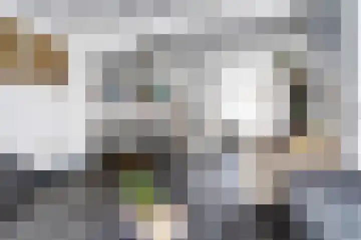 Fabriekstraat 45 Goirle thumbnail 4